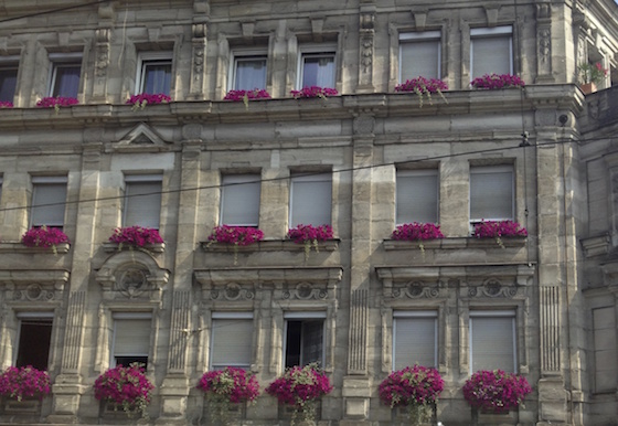 Our Experience on our European River Cruise | I am obsessed with the window boxes!