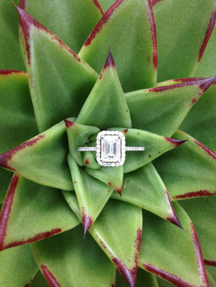 Beautiful emerald cut engagement ring! Find more on the blog.