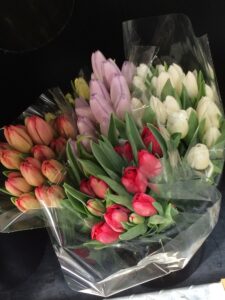Tulips at Costo