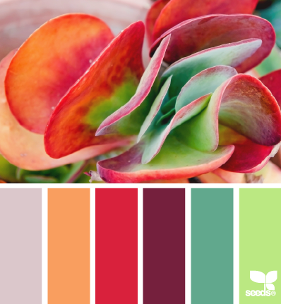 design-seeds-nature-hues