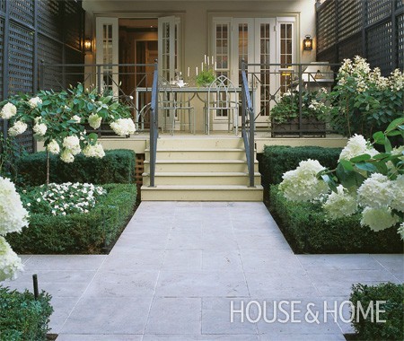 Entryway flanked by Hydrangea Trees