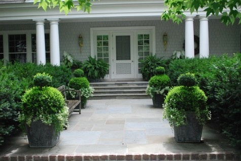 white pillars at house entrance with green boxwood pots