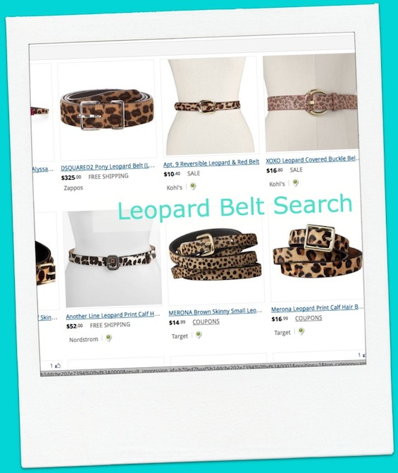 Leopard Belt Search on The Find