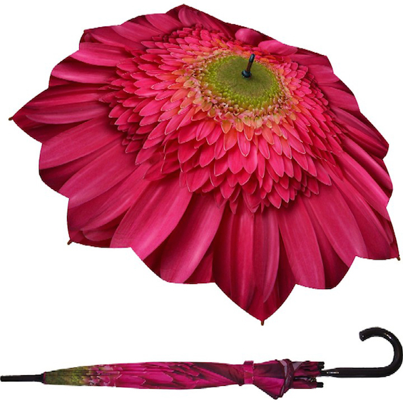 pink daisy umbrella