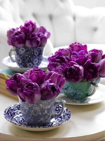tulips in tea cups