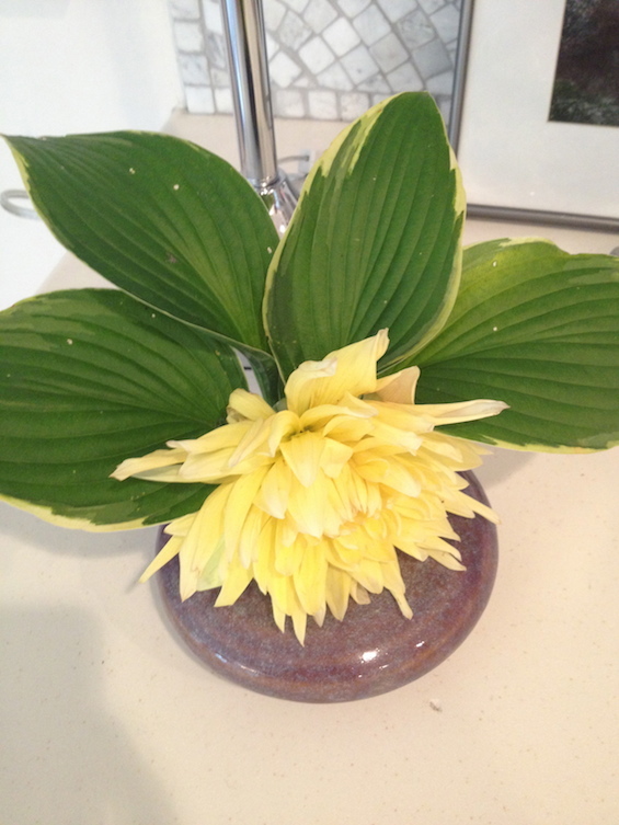 Single Dahlia Floral Arrangement