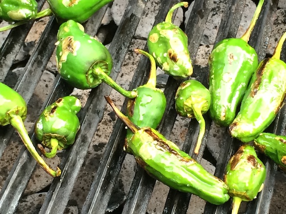 Grilled Padron Peppers till Blistered