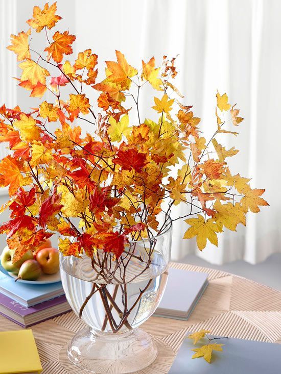 Colorful Fall Branches in Vase