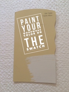 Paint Swatch with Woodwork Color