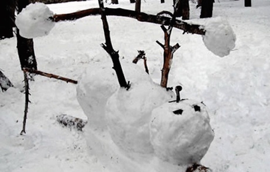 Weight Lifting Snowman