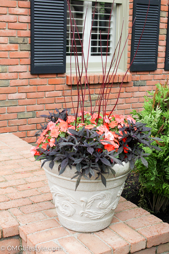Container Gardening - Adding Color, Greenery and Height