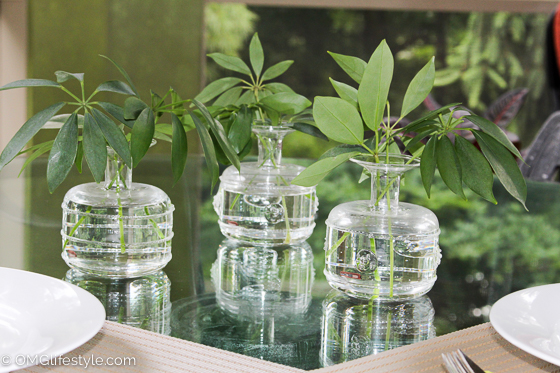Plant cuttings for quick centerpiece (6 of 27)