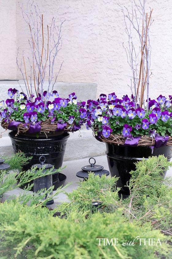 An easy tutorial on how to create these gorgeous pansy planters.