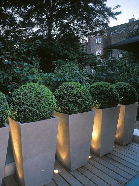 10 great examples of how to incorporate potted boxwoods in your landscaping | Love these boxwood in tall square planters | Visit the post for more fabulous photos