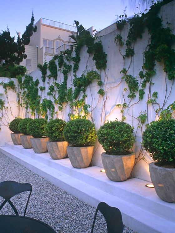10 great examples of how to incorporate potted boxwoods in your landscaping | Kudos HGTV on these gorgeous potted boxwoods against a privacy wall - LOVE LOVE LOVE! Visit the post for more inspiration.