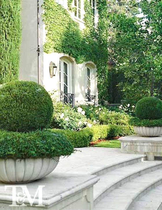 10 great examples of how to incorporate potted boxwoods in your landscaping | These Stunning Boxwood Planters are so regal looking | Visit the post for more ideas.