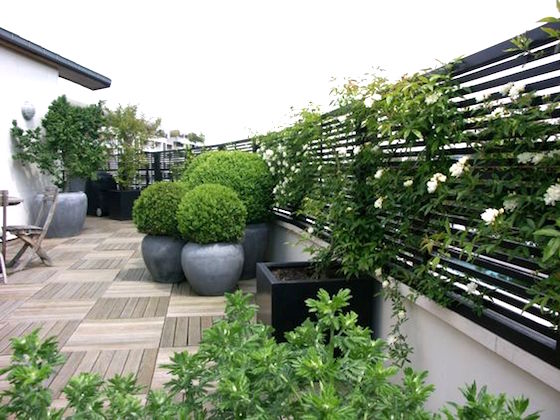 10 great examples of how to incorporate potted boxwoods in your landscaping | Potted boxwoods on a terrace add warmth to the hard surfaces | Visit the post for more ideas
