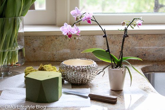 Repotting flowering plants to fit your decor