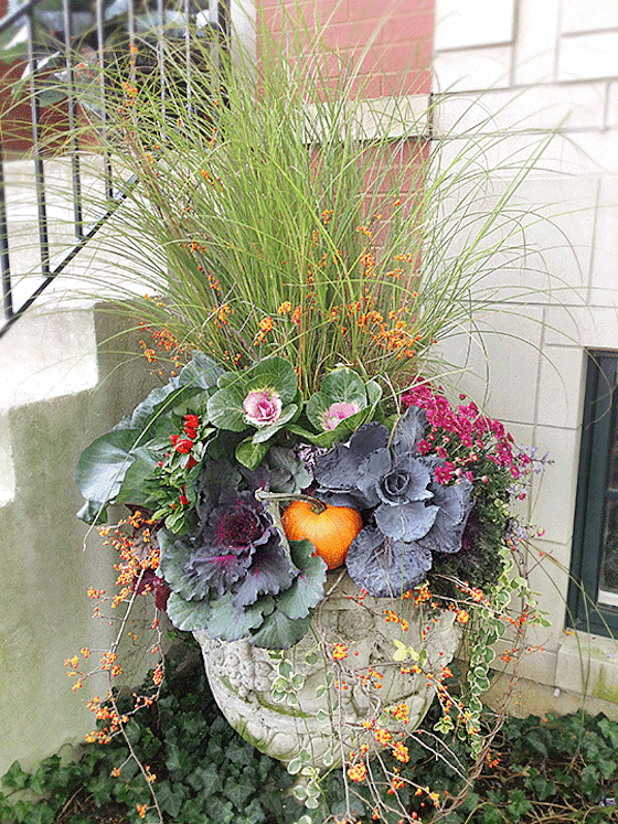 Fall Planter with kale grass and pumpkins
