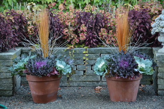 Fall Planters with Kale by Deborah Silver