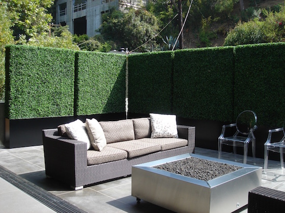 Faux Privacy Hedge