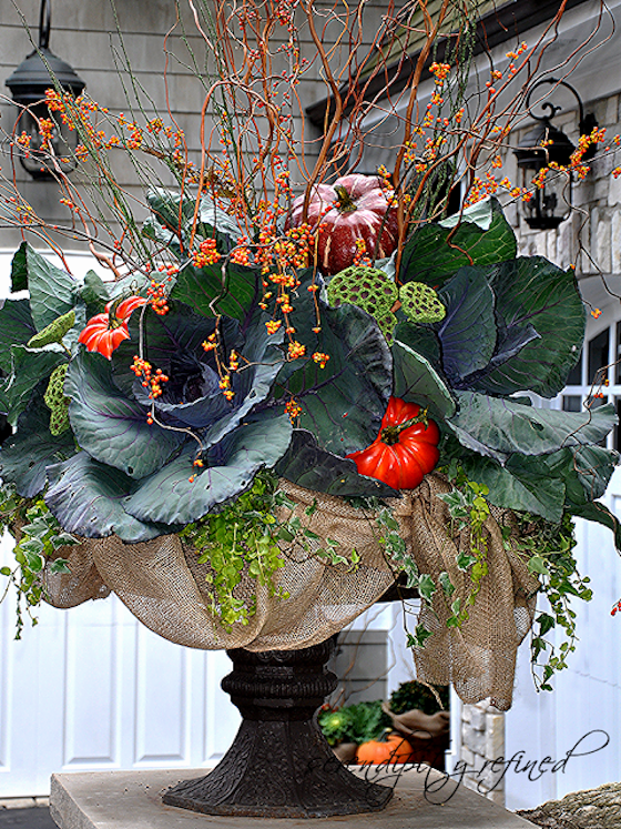 Gorgeous Fall Planter with Kale