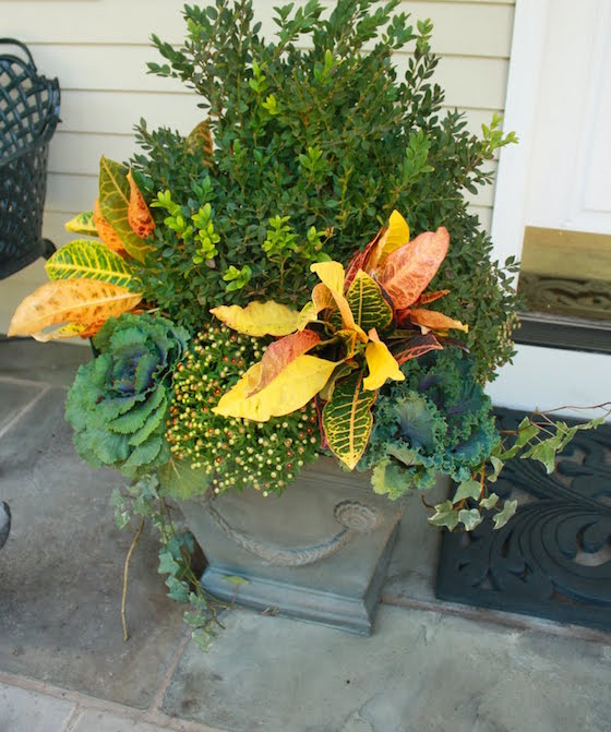 Pretty Fall Container Gardening