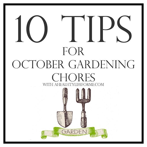 10 TIPS FOR OCTOBER GARDENING