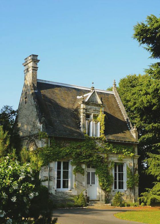 Vine Covered Cottage in France