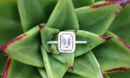 emerald-cut-engagement-ring