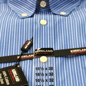 Kirkland No Iron Shirt in Blue