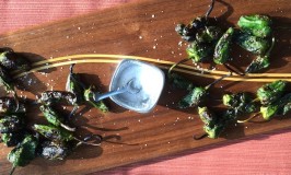 Grilled Padron Peppers with Sea Salt