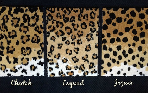 One Room Challenge, Week #2 – Leopard Carpet