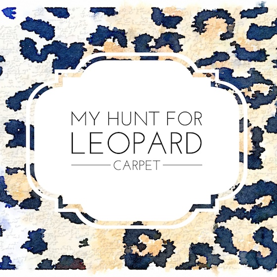 My Hunt for Leopard Carpet