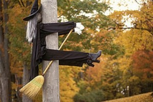 Witch Flying Into Tree