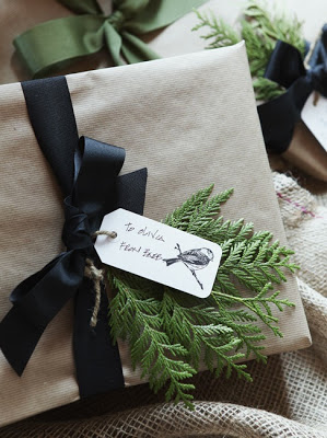 christmas gift wrap with evergreen cutting