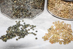 French Green Lentils vs Brown Lentils