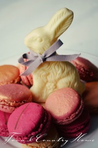 White Chocolate Bunny with Macaroons