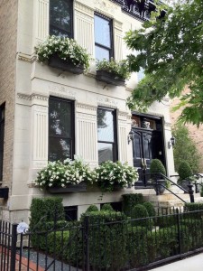 Brownstone with Black Window Boxes and White Flowers