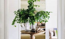 Green Branches on this Foyer Table add life to this entrance