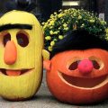 Bert and Ernie Pumpkins