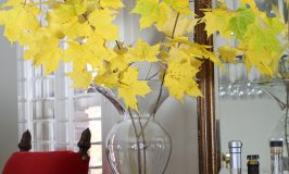 Cut color fall branches and bring indoors for some color